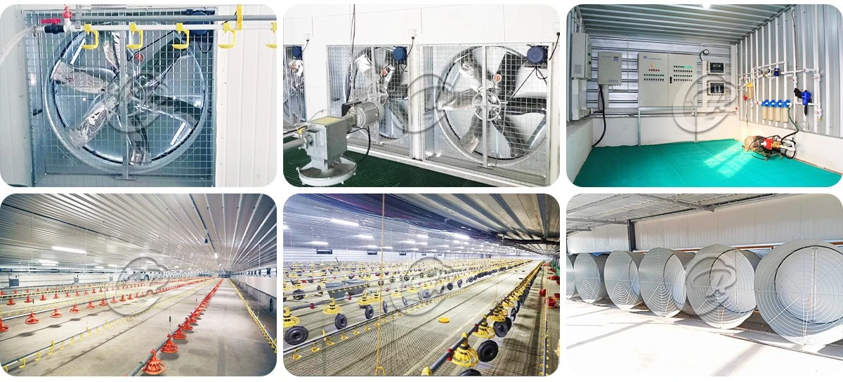 Cattle and Sheep Livestock Shed suppliers Cattle and Sheep Livestock Shed suppliers